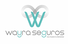 Wayra Seguros